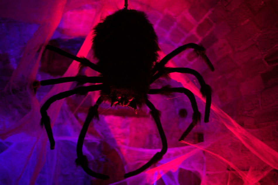 halloween2013_3