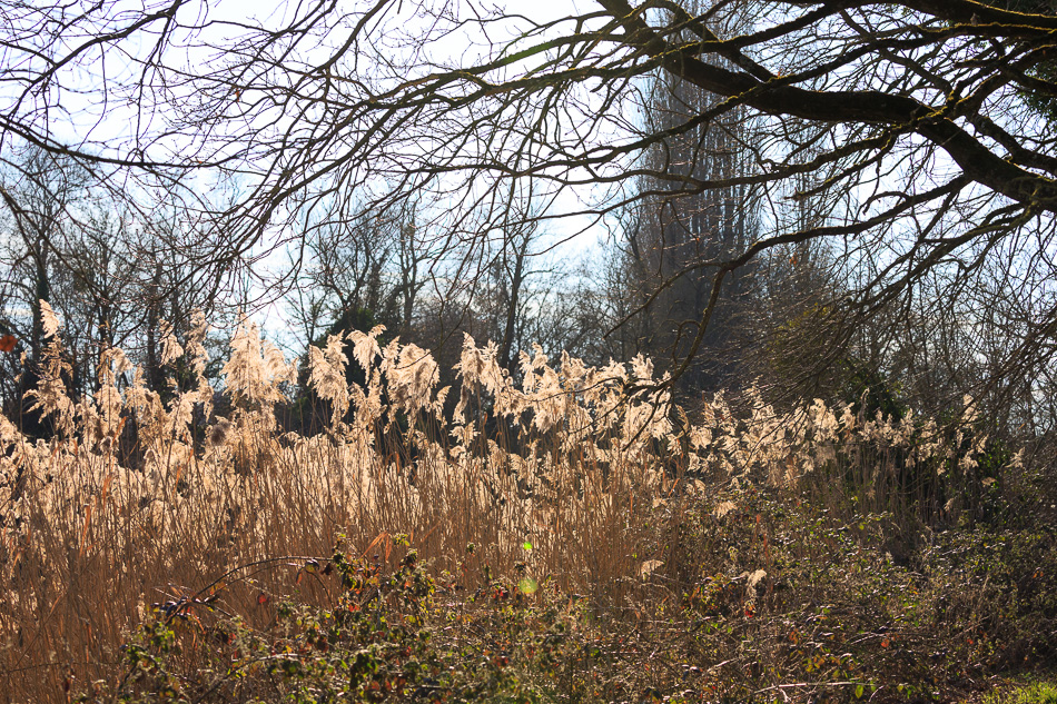 impression2