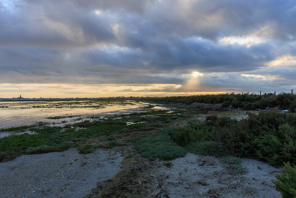 marais_salants-1