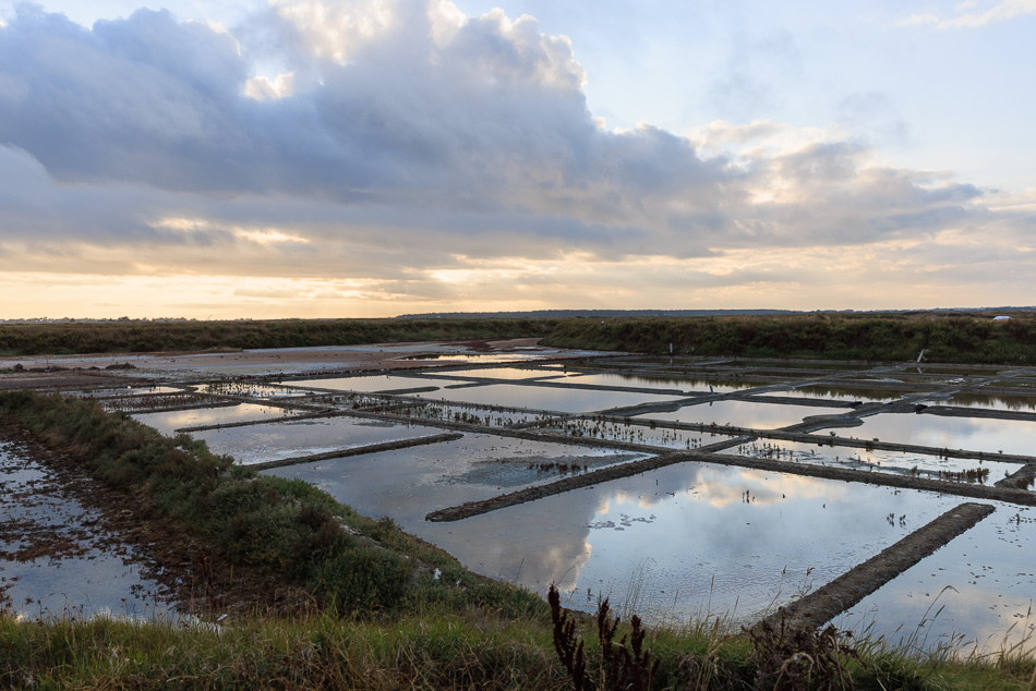 marais_salants-2