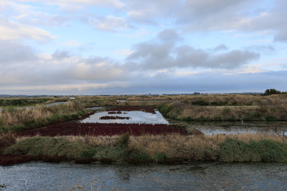 marais_salants-3