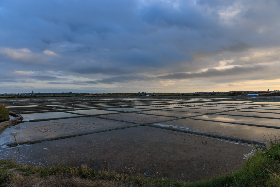 marais_salants-6