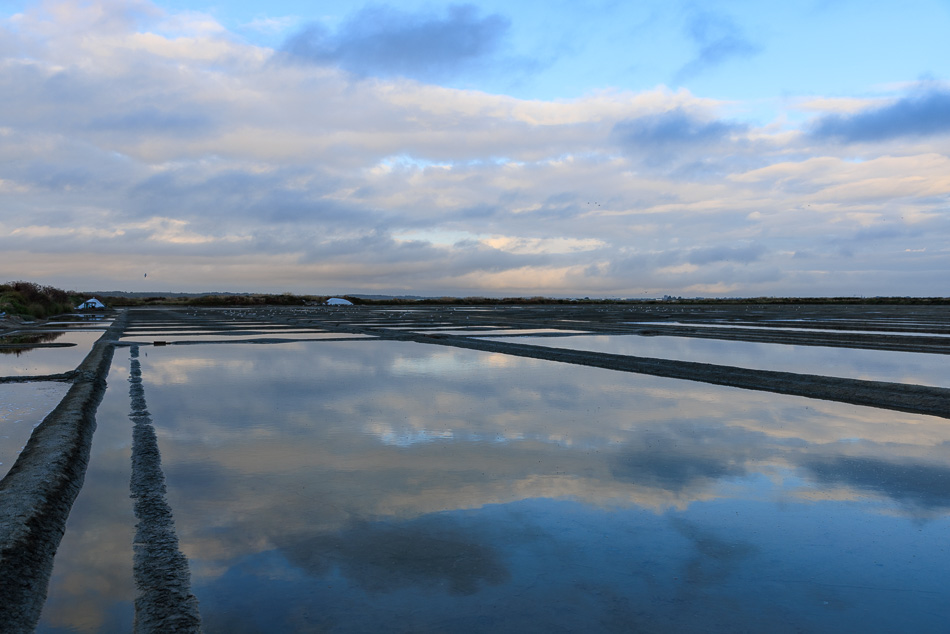 marais_salants-8