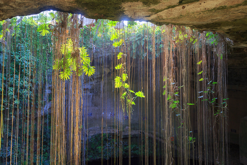 Yucatan-1018